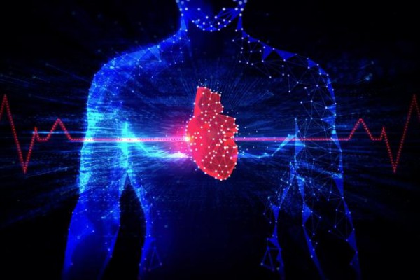 Genesis MedTech: Solving a Pressing Need for Structural Heart Disease Solutions