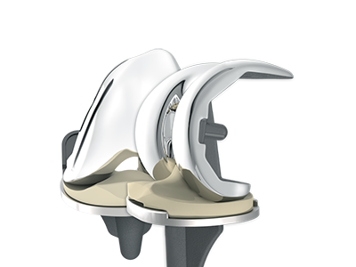 WE-Motion (Total knee joint system) Joint